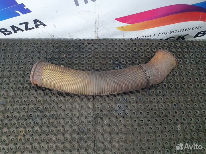 1743073 Гофра глушителя Daf XF105