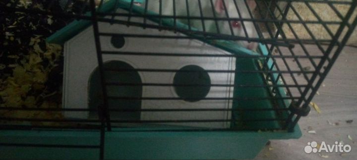 Колесо,поилка и домик для грызунов