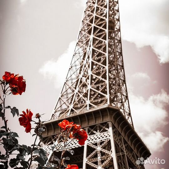 Дизайнерские фотообои 