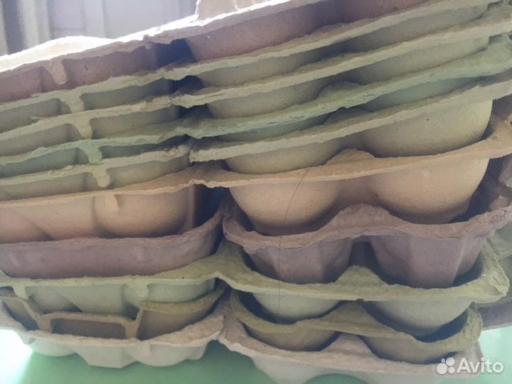 Контейнер для яиц 40штук