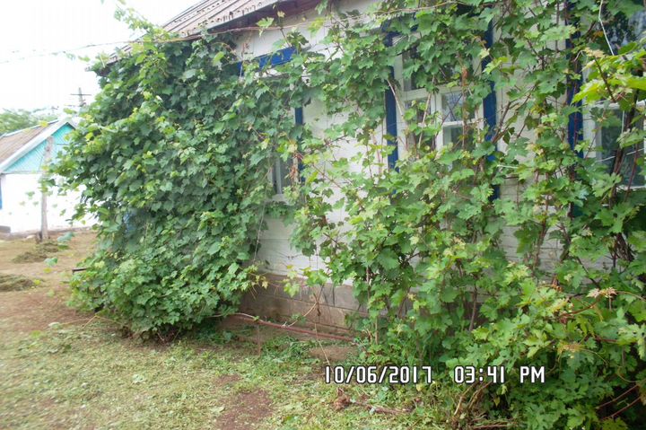 Дом 46,1 м² на участке 20 сот.