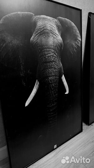 Картины и постеры