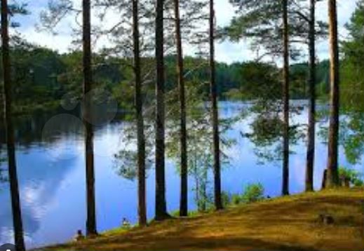 Участок 7,5 сот. (СНТ, ДНП)