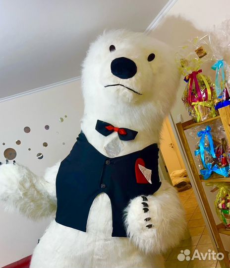 Длинношерстные костюмы