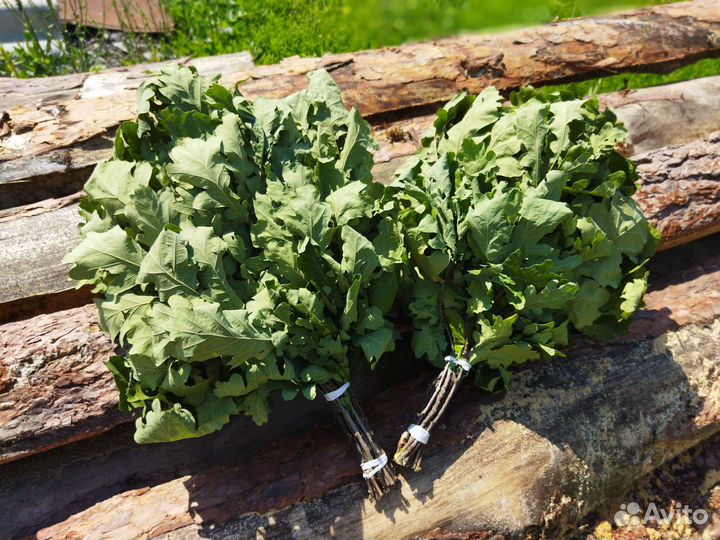 Веники для бани