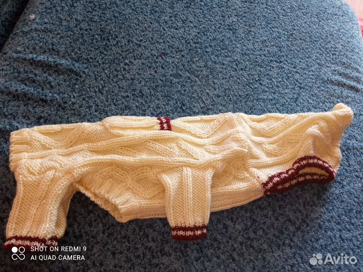 Одежда для собак