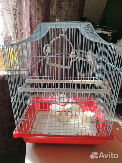 Клетка для волнистого попугая