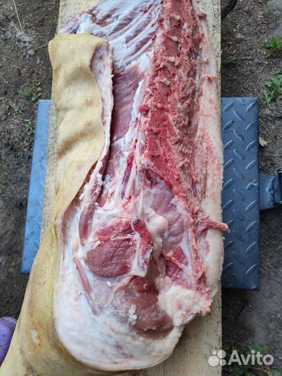 Мясо свинина домашняя