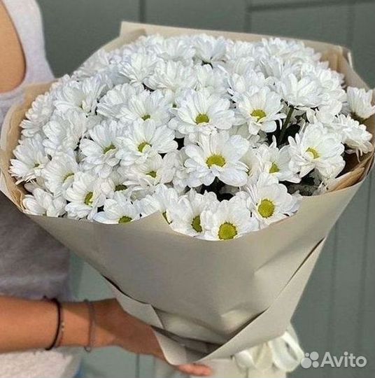 Хризантема. Букеты Цветы доставка