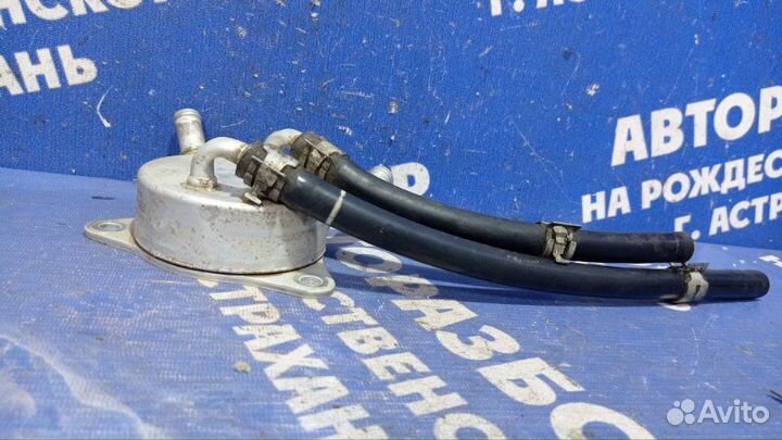 Радиатор масляный Honda Fit хэтчбек L13Z1 2012