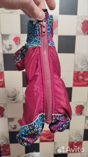 Одежда для мини йорка