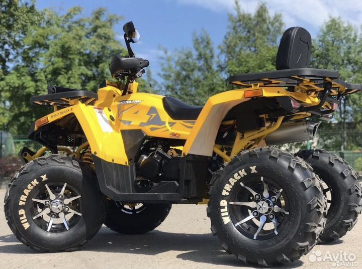 Квадроцикл MotoLand Wild Track 200 X Pro