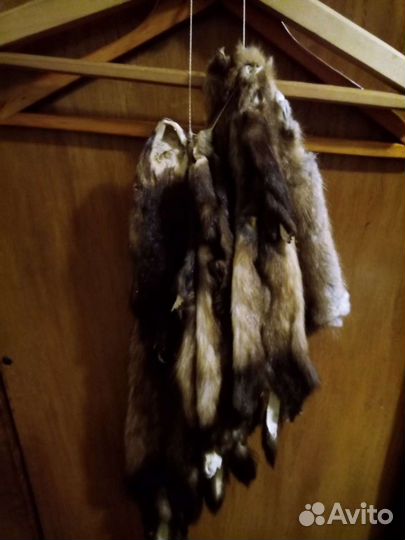 Шкурки : хорёк, ондатра, норка