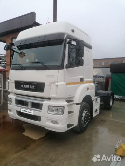 КАМАЗ 5490, 2019