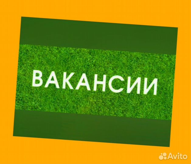 Кладовщик без опыта Еженедельные выплаты Одежда