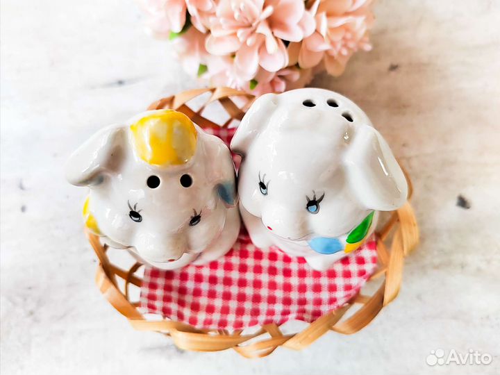 Набор для специй