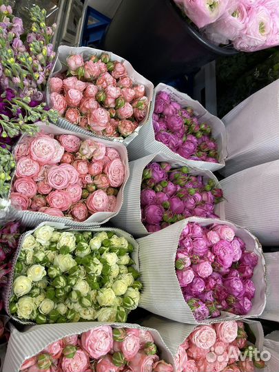 Цветы букеты с доставкой