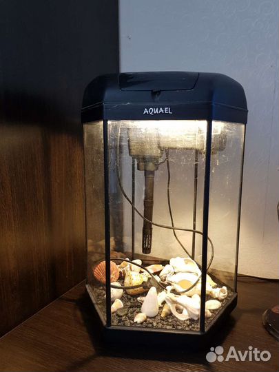 Аквариум