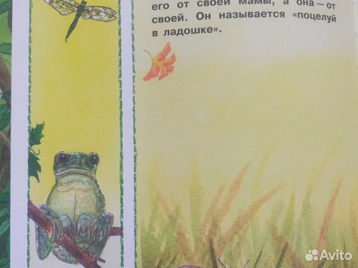 Одри Пенн:Поцелуй в ладошке