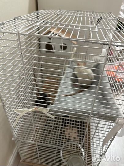 Гамак для грызунов в клетку