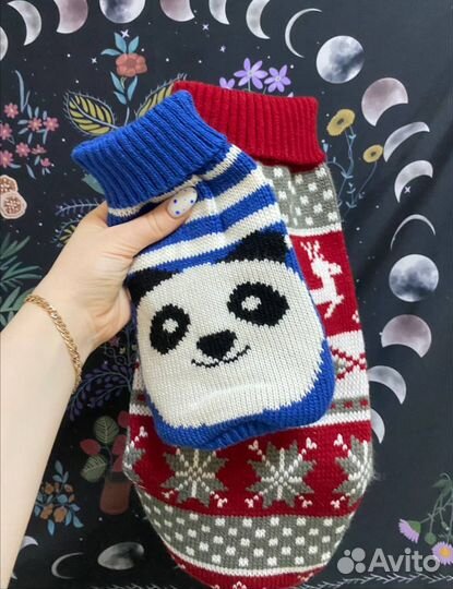 Одежда для животных