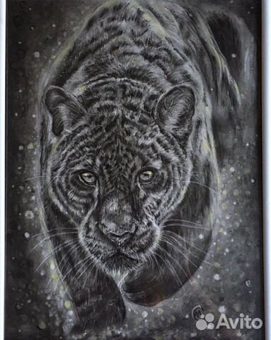 Картина графика «Свет ягуара»