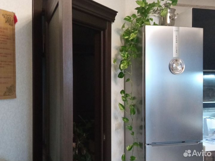 Лиана сциндапсус