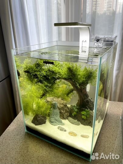 Аквариум с дизайном