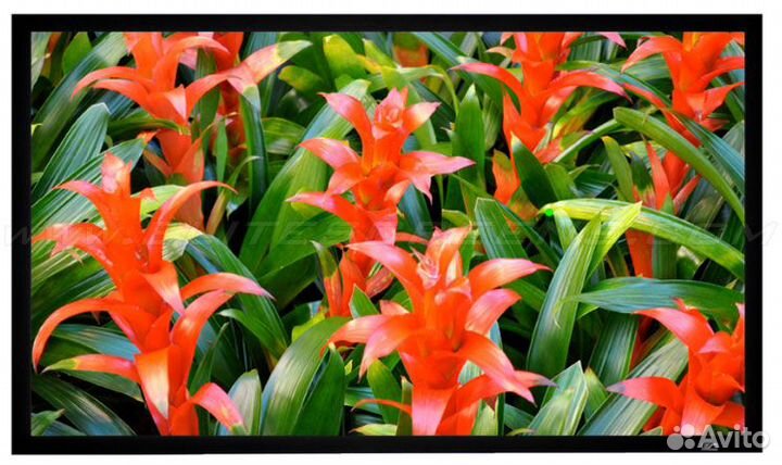 Экран на раме Elite Screens ezFrame R150WH1 187*33
