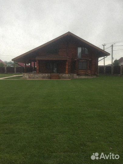 Продажа газона стандарт