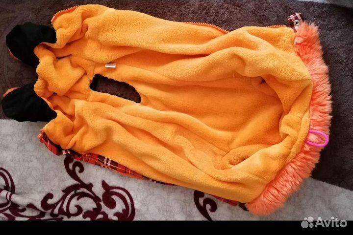 Комбинезон для таксы