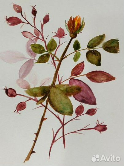 Картина акварель