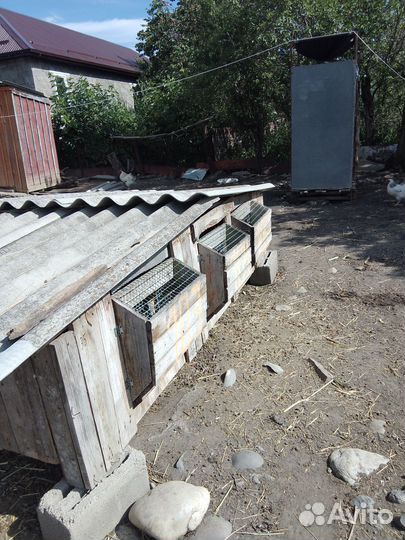 Клетка для кролика большая бу