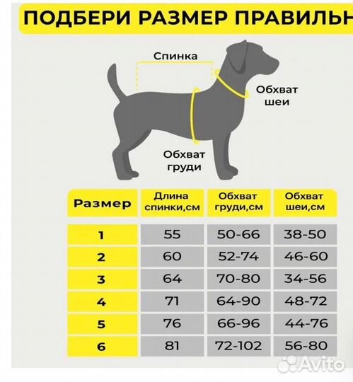 Комбинезон для собак средних пород, дождевик