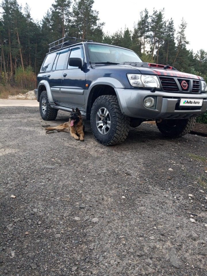 Nissan Patrol: фото владельца