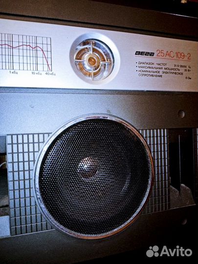 Колонки Вега 25ас 109-2