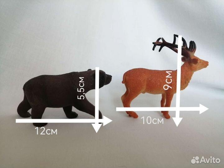 Животные из одной коллекции