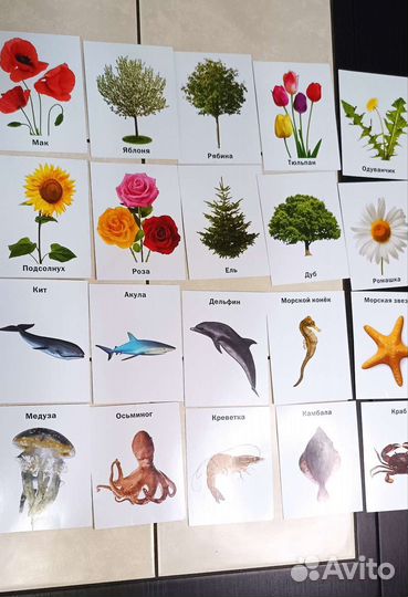 Карточки домана 210 шт