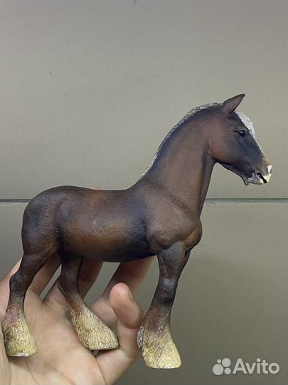 Кастом кобыла