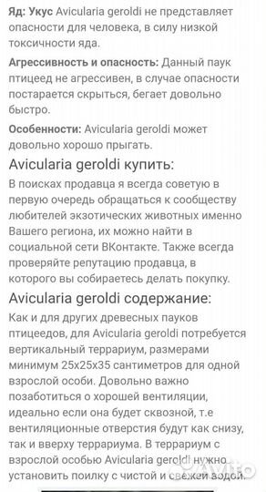 Авикулярия Герольди, паук птицеед