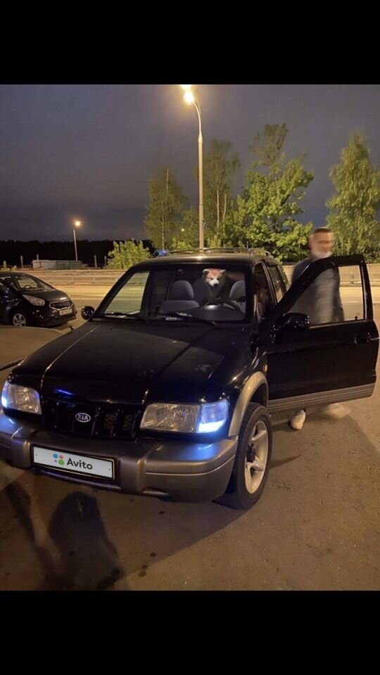 Kia Sportage: фото владельца