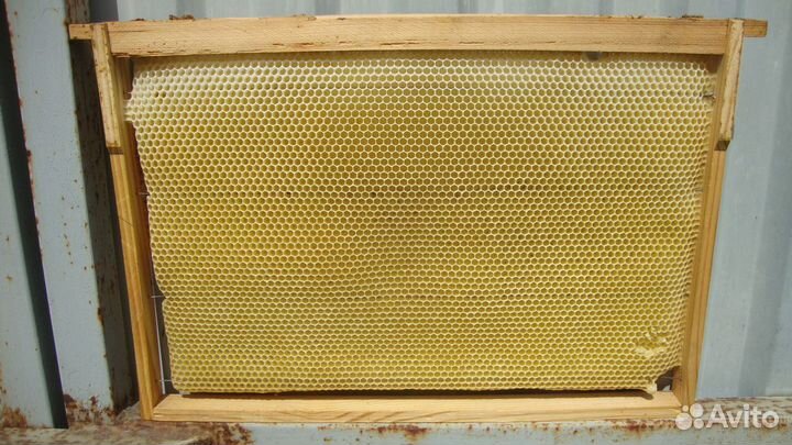 Сушь для пчел