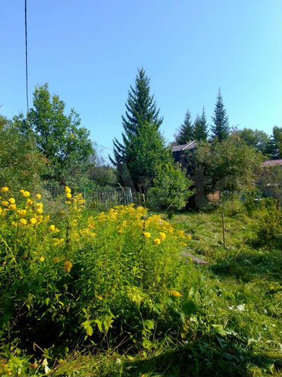 Дача 40 м² на участке 5 сот.