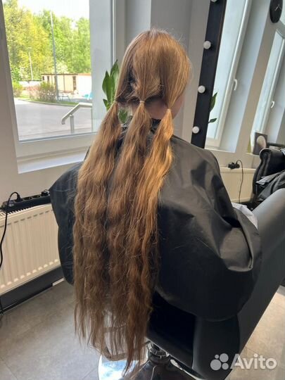 Скупка волос