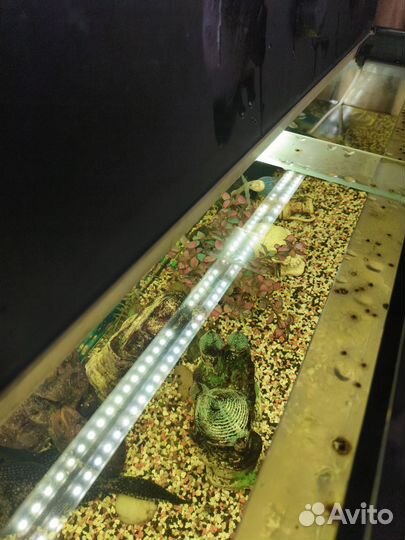 Аквариум с тумбой 180 литров