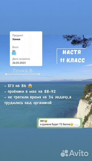 Репетитор по химии огэ/егэ