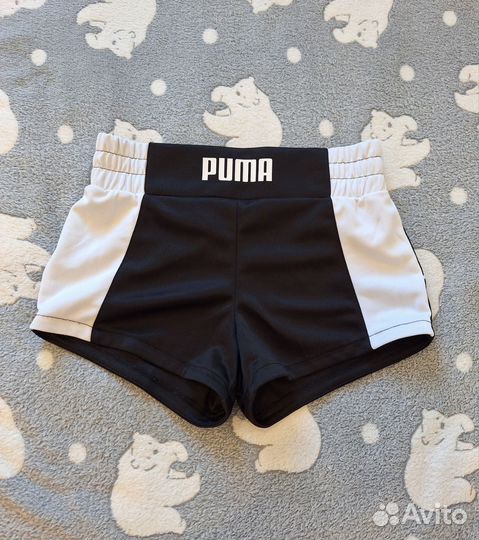 Шорты спортивные puma 152