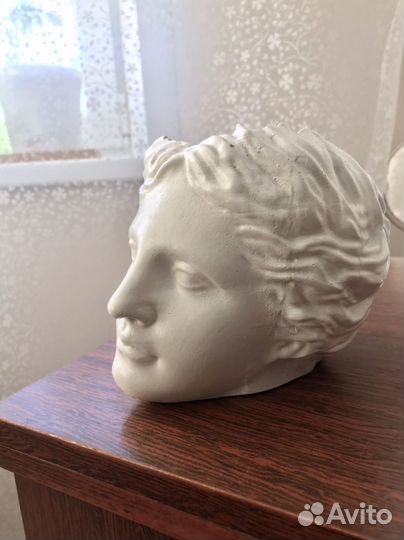 Голова Венеры