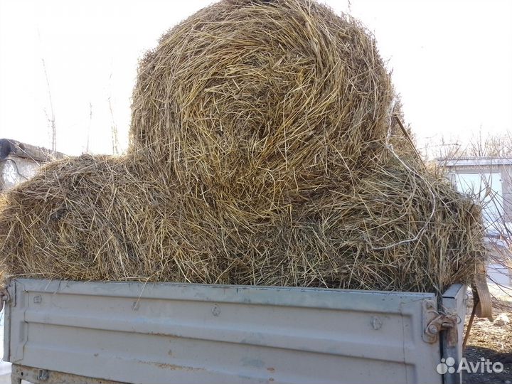 Продам сено в рулонах
