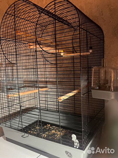 Клетка для попугая